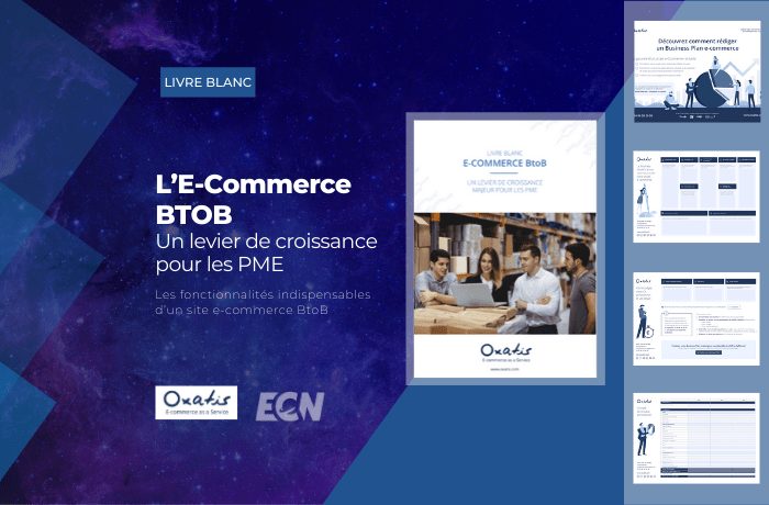 livre blanc oxatis ecommerce btob