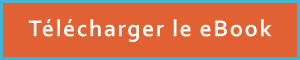 telecharger-le-ebook