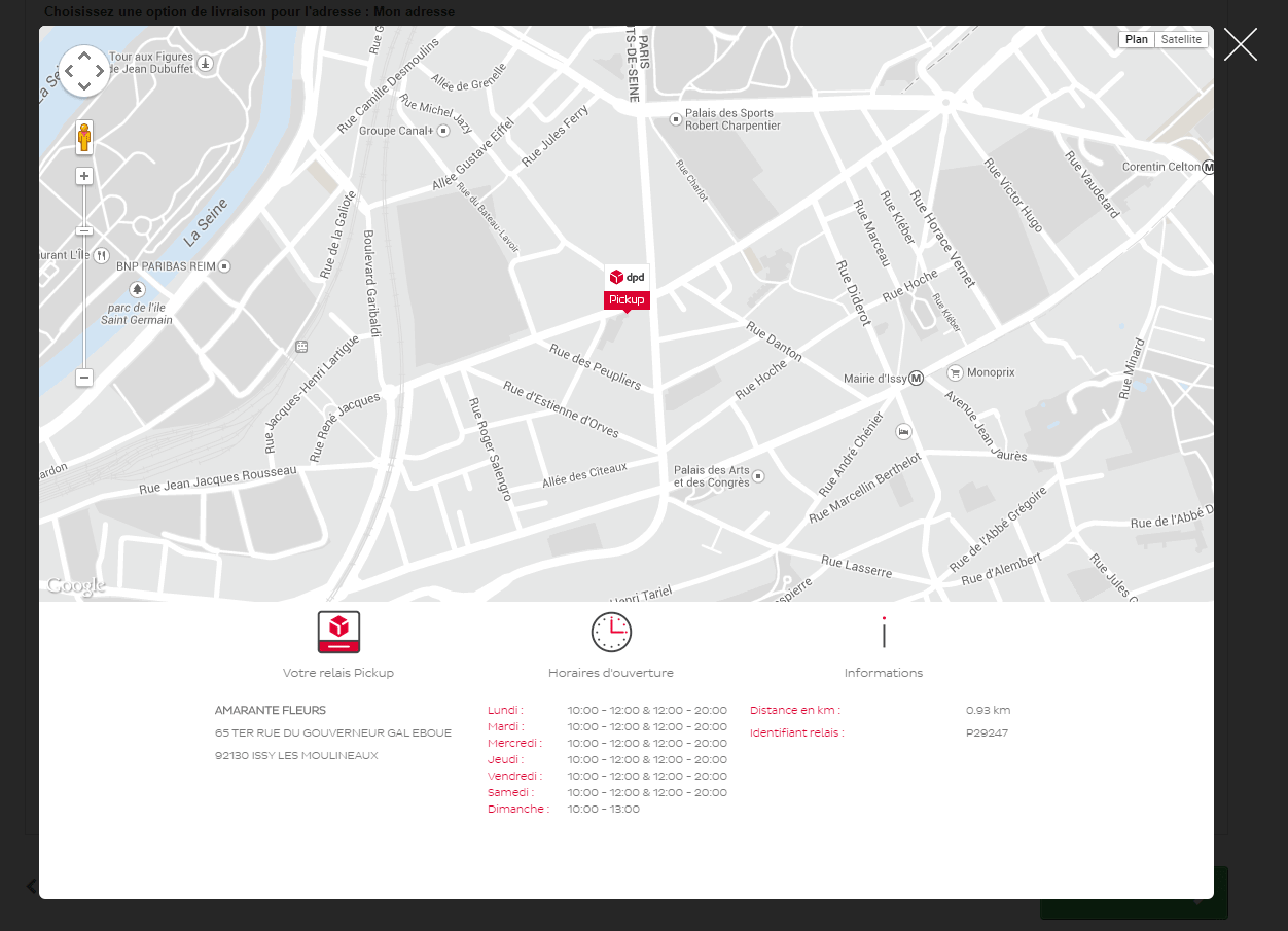 dpd livraison b2b