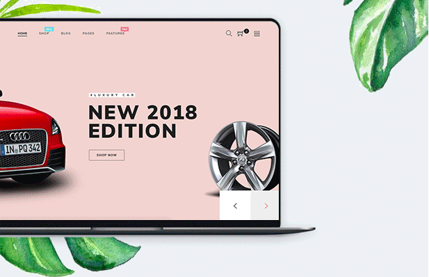 everything - thèmes shopify