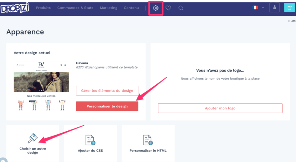 Comment créer son site de dropshipping Dropizi - apparence du site