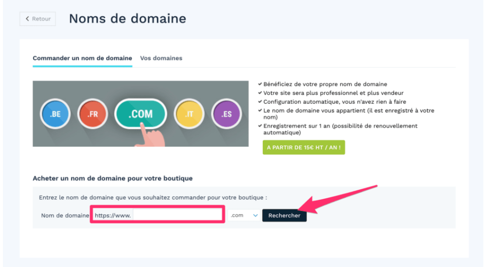 Comment créer son site de dropshipping Dropizi - commande d'un nom de domaine