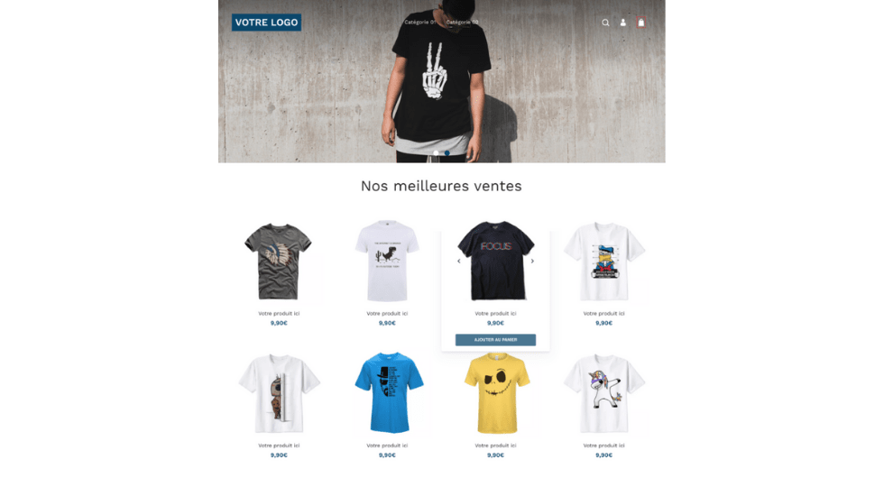 Comment créer son site de dropshipping Dropizi - thème