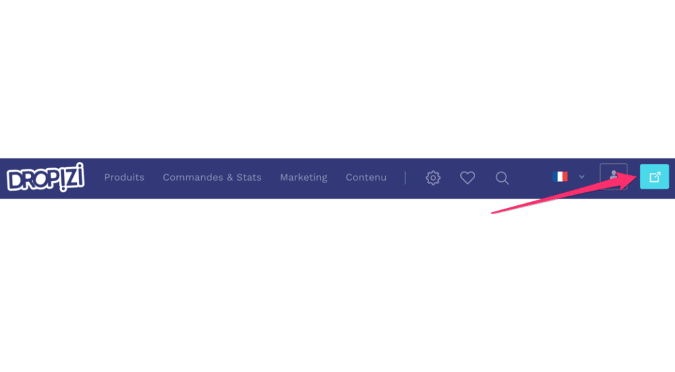 Comment créer son site de dropshipping Dropizi - prévisualisation