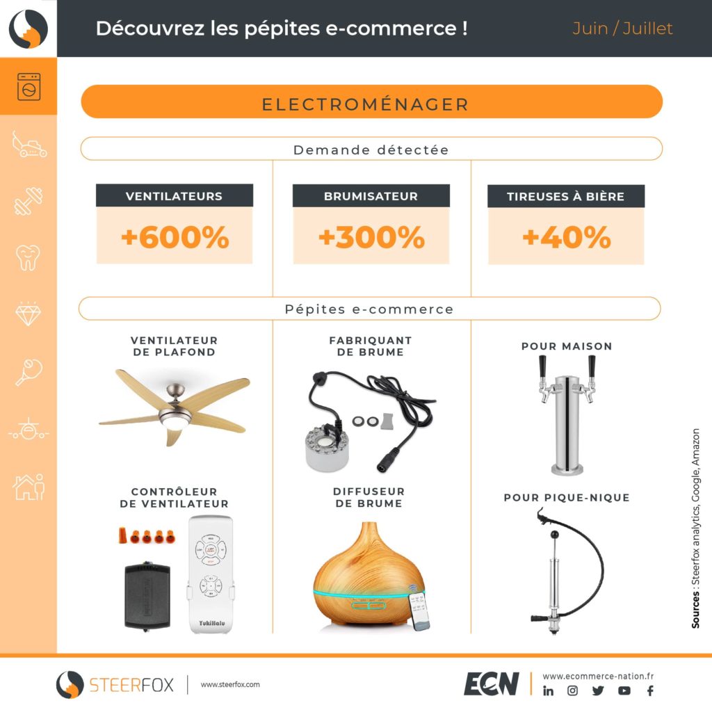 infographie pepites e commerce électroménager