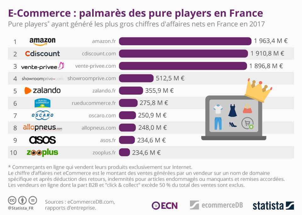 Top 10 pure player France
