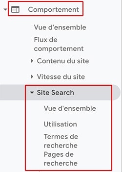 Site Search dans le comportement