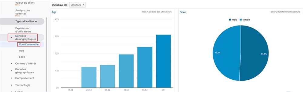 Données démographiques sur Google Analytics