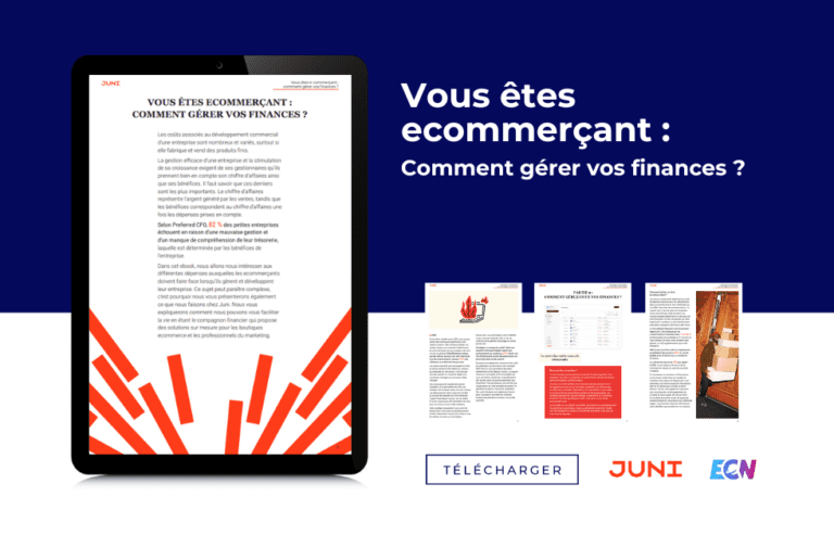 Vous êtes ecommerçant : comment gérer vos finances ?