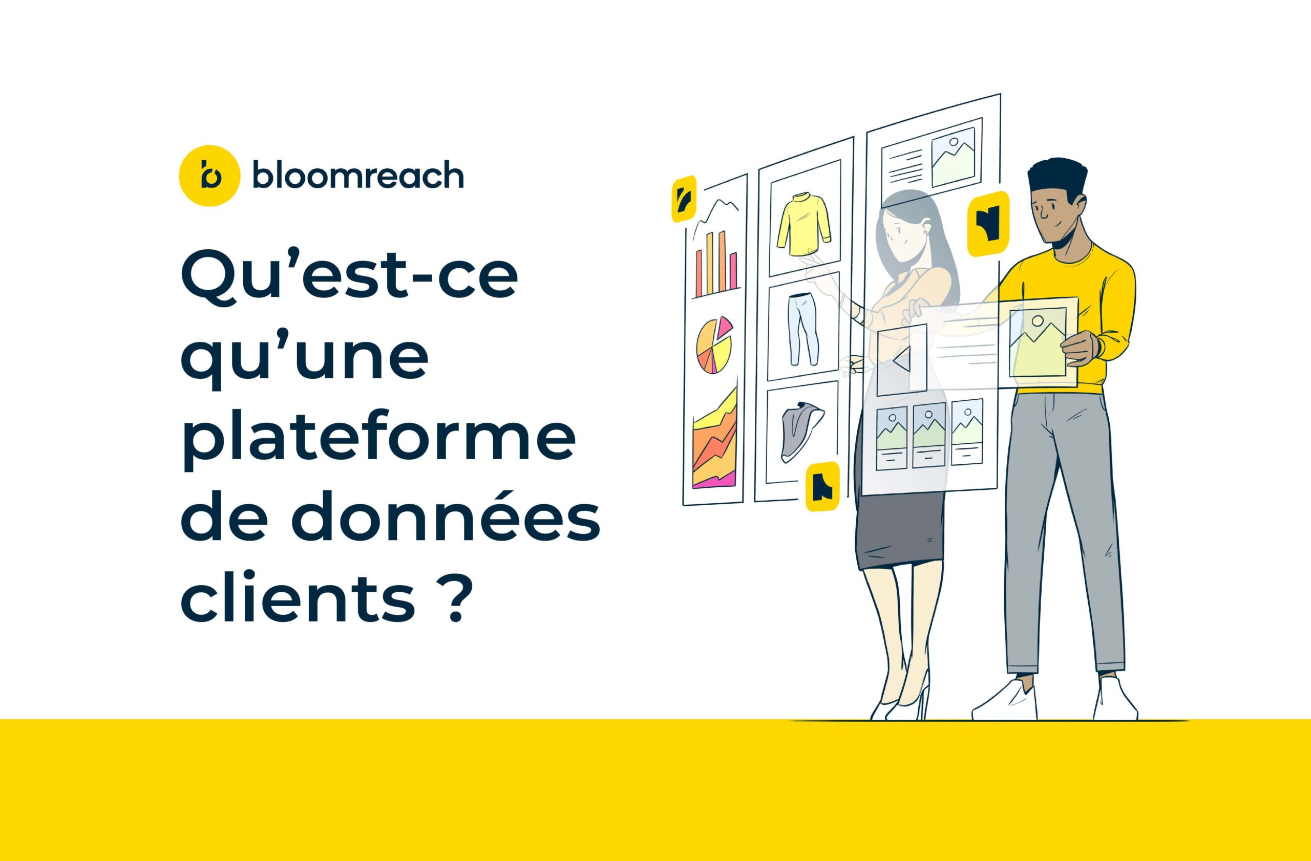 Header article Bloomreach CDP