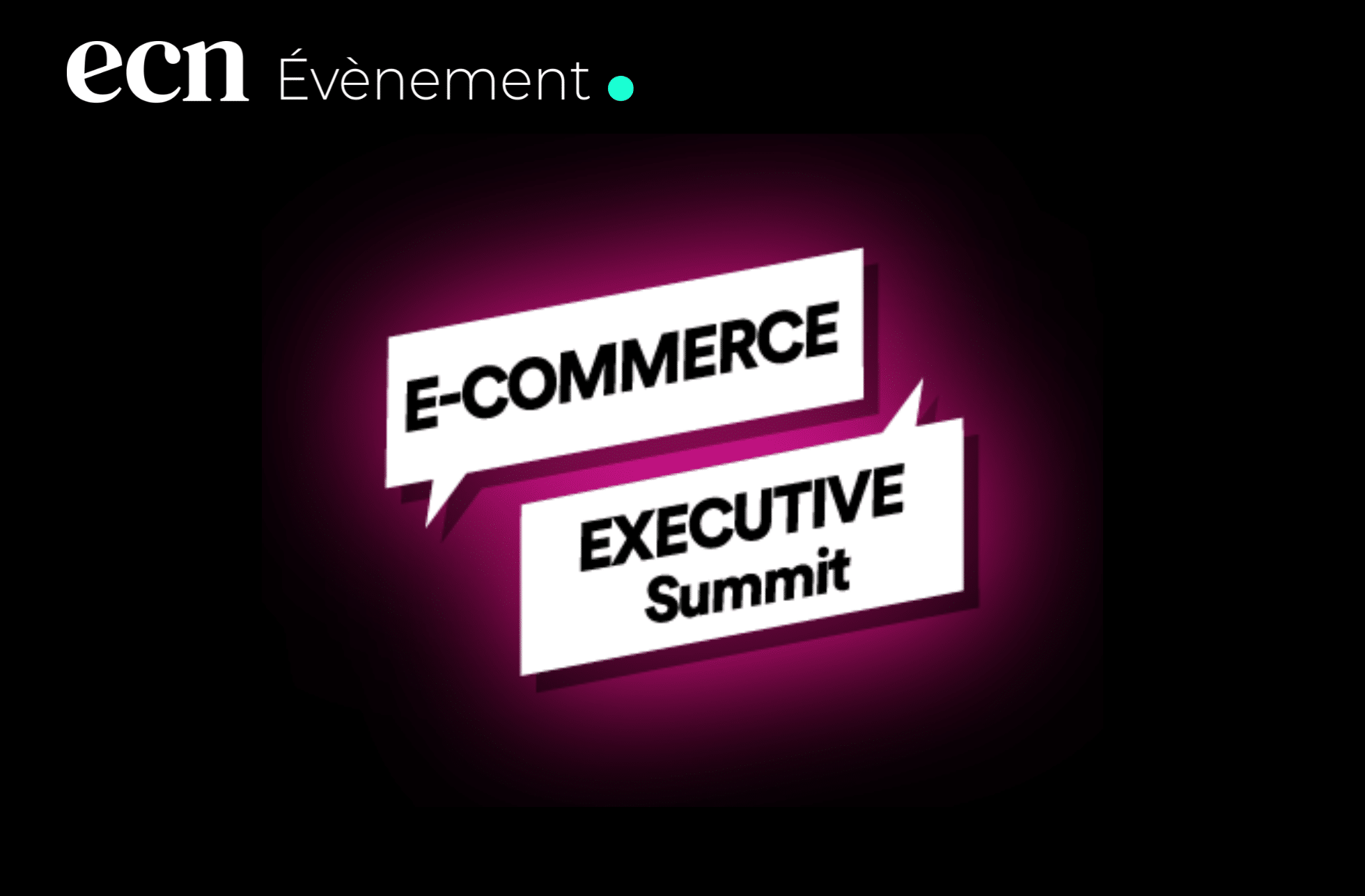 E-Commerce Executive Summit lesbigboss