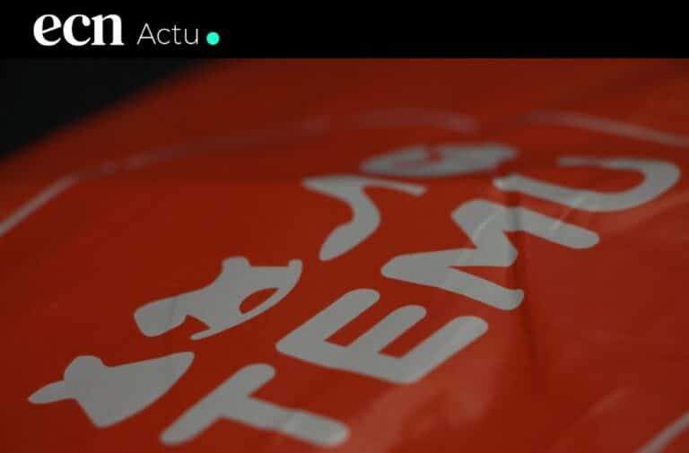 Temu épinglé par la Commission européenne Bruxelles dénonce la vente de produits illégaux