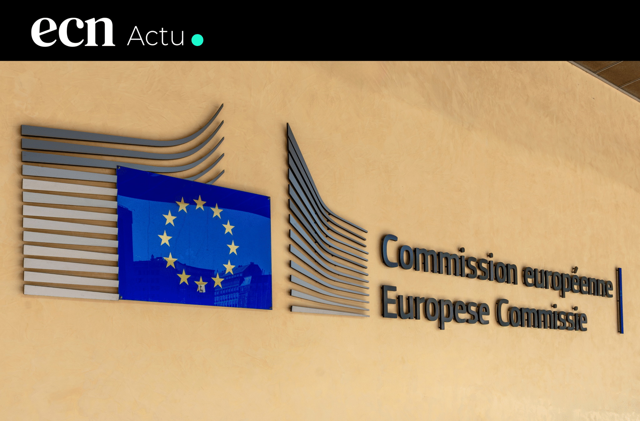 temu sanction commission europeenne