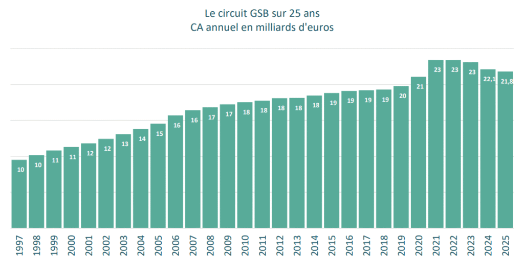 Marché du Bricolage en France 2025 : les GSB résistent, le e-commerce bondit chiffre d'affaires marché du bricolage France 2025