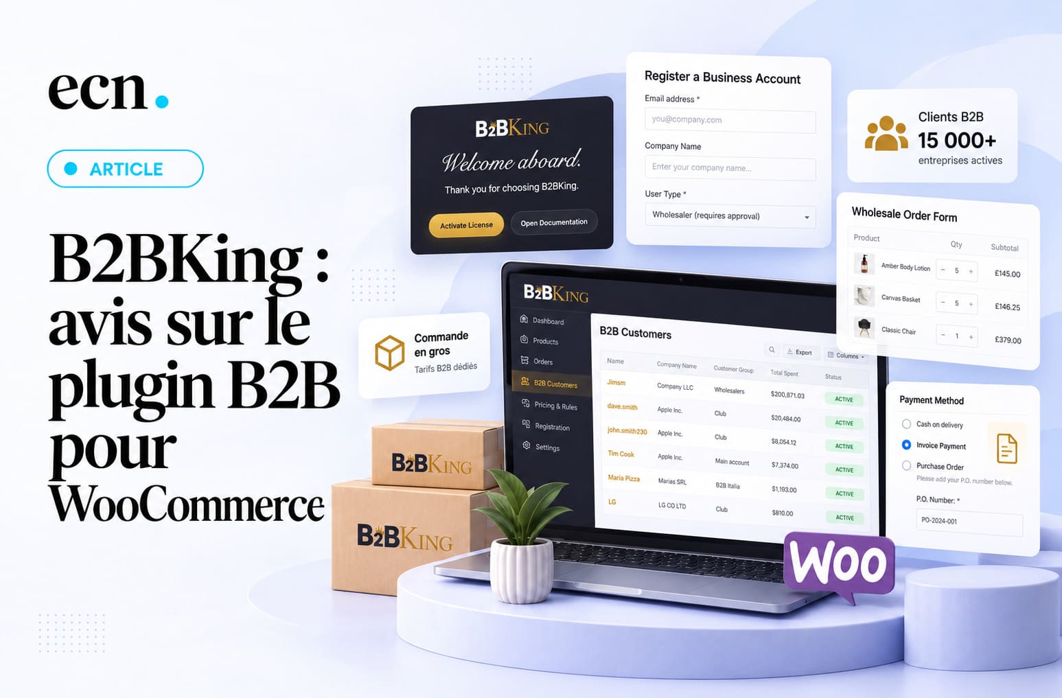 Avis B2BKing : ce plugin peut-il transformer WooCommerce en véritable plateforme B2B ?